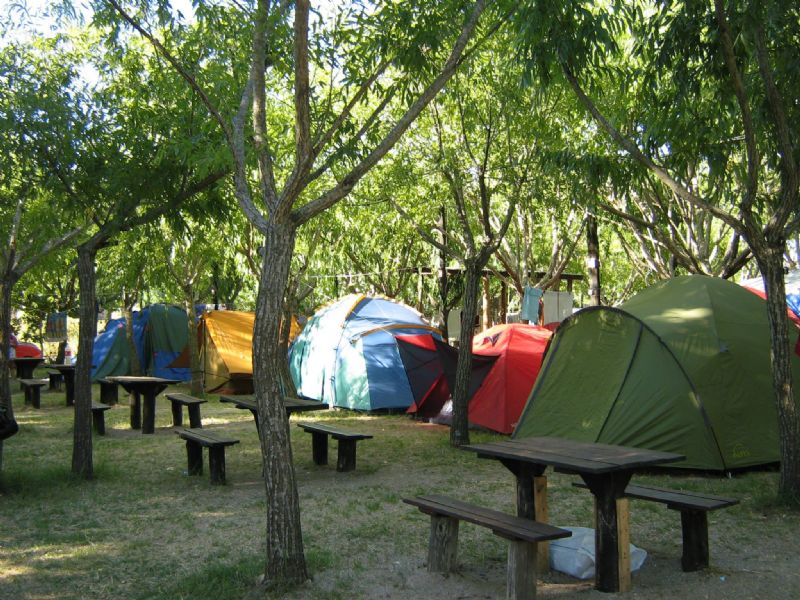 Sector camping. de Camping Los 3 Pinos