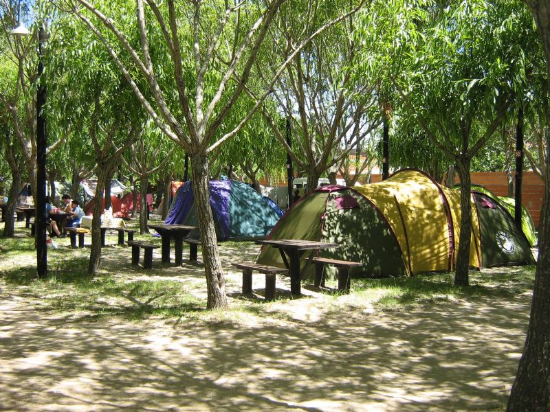 Sector camping. de Camping Los 3 Pinos